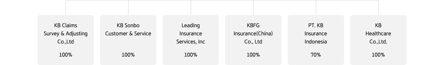 KB Insurance organization composition and equity ratio chart
