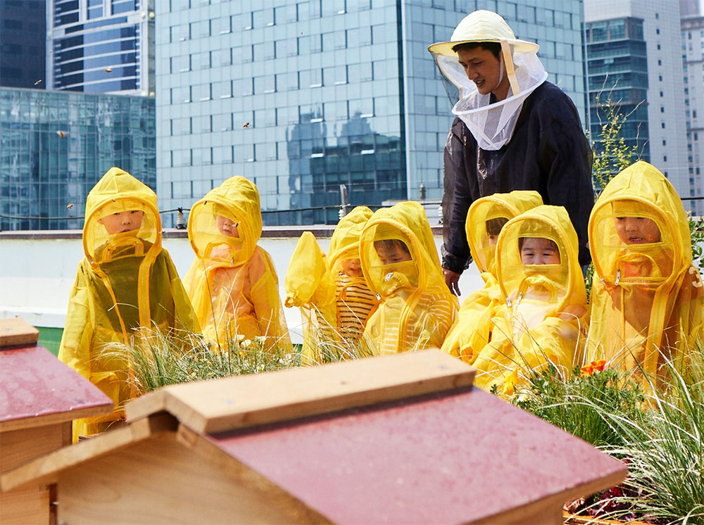 Lebah yang menghilang untuk terbang kembali, Foto dari promosi proyek K-Bee